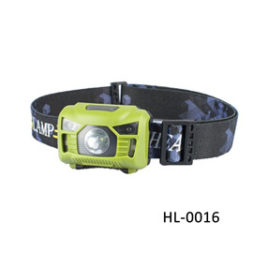 Sensor Head Torch